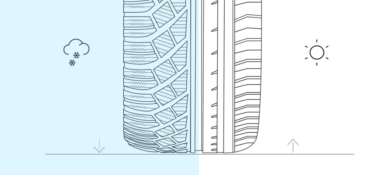 Slice-v3_tcm-10-1499977-5